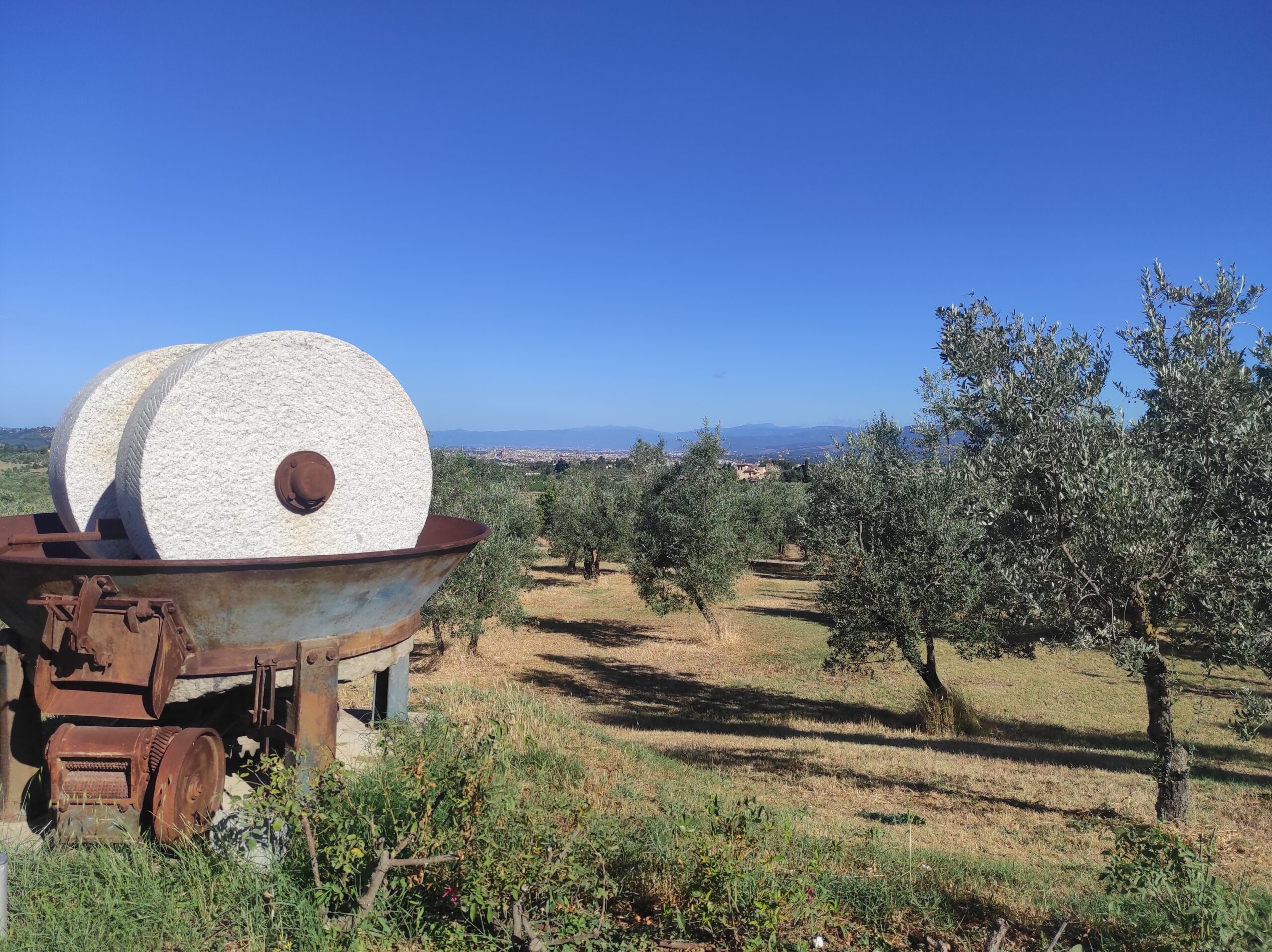 Fattoria Ramerino