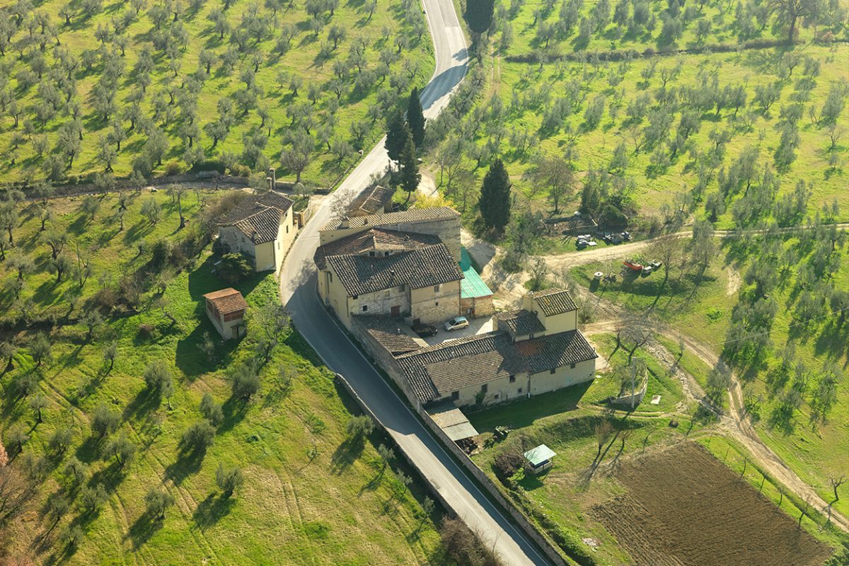 Aerial view of a Tuscan olive farm estate